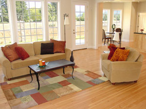 Home Mold Value in California